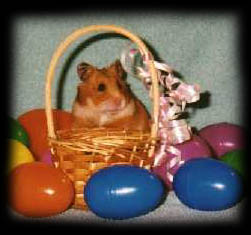Easter-Beaver